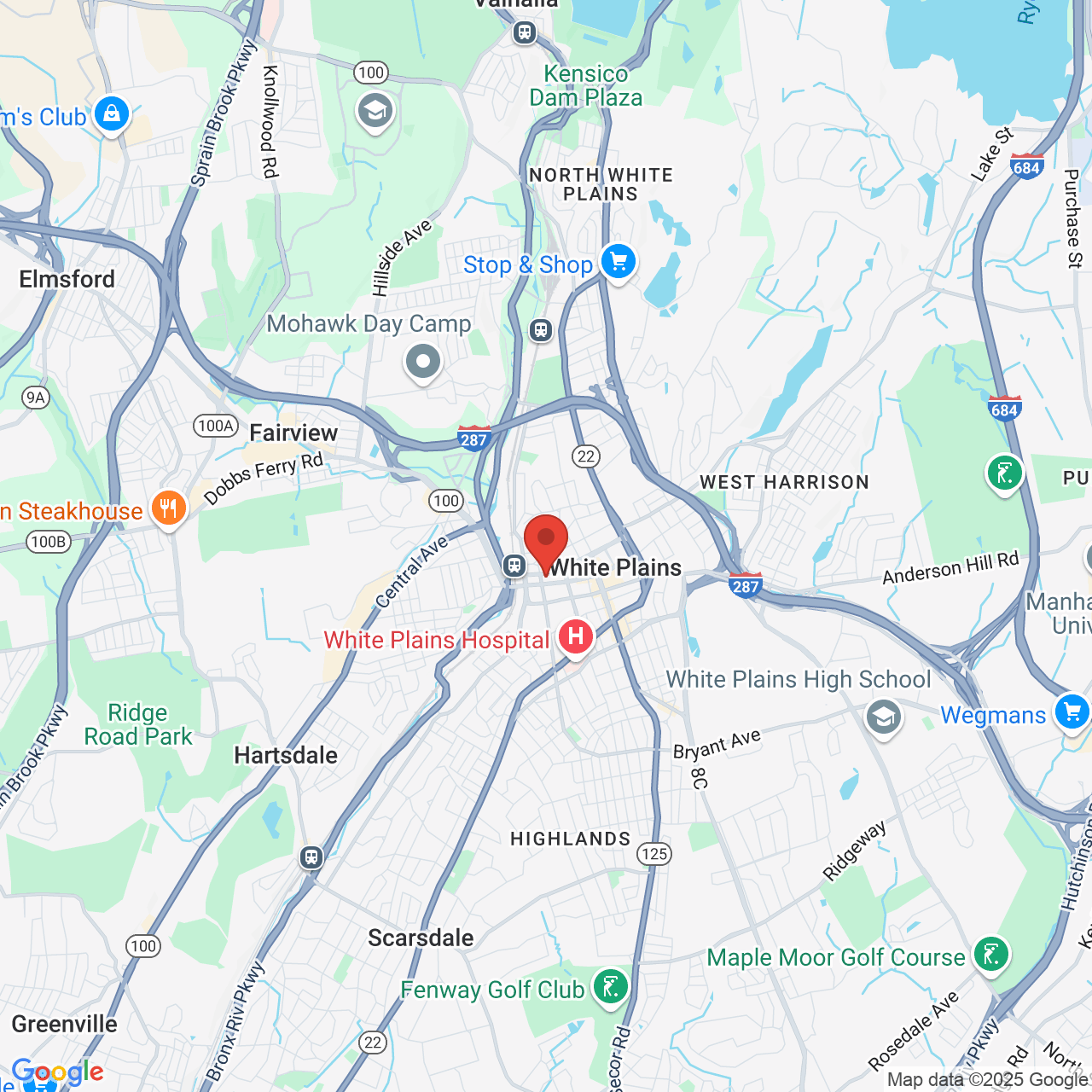 Google map image of our location in 81 Main Street White Plains, NY
